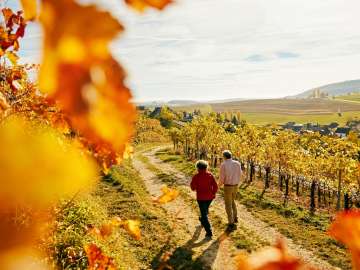 Deux personnes se promènent dans les vignes en automne.