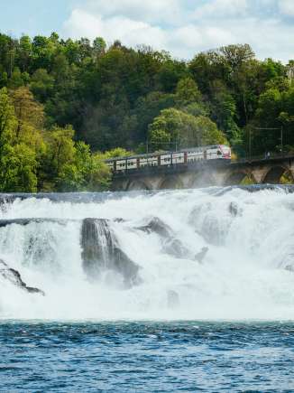 Ein Zug fährt über eine Brücke. Im Vordergrund ist der Rheinfall.