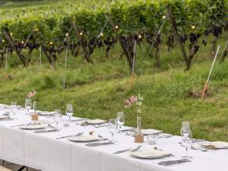 Weiss gedeckte Festbänke stehen als lange Tafel in den Reben.