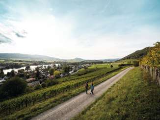 Zwei Personen laufen durch die Reben oberhalb von der Stadt Stein am Rhein. Im Hintergrund sieht man den Rhein.