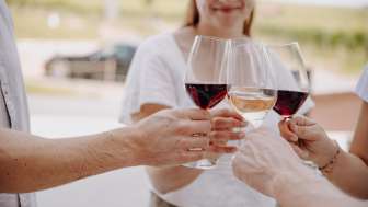 Dégustation de vins avec visite guidée du vignoble Stein am Rhein