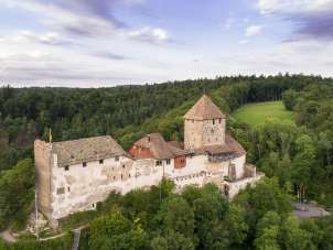 Vue d'en haut sur le château de Hohenklingen, entouré de forêt.