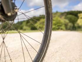 Partie d'une roue de vélo qui roule sur un chemin naturel. En arrière-plan, on voit la lisière de la forêt.