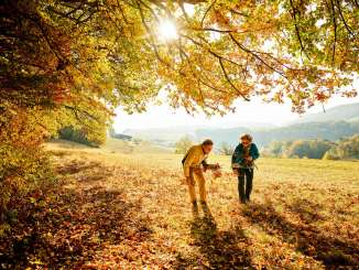 Zwei Personen sind am Waldrand unterwegs und sammeln goldene Blätter der herbstlichen Bäume.