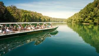 Ein Boot fährt auf dem Rhein durch einen ruhigen Abschnitt komplett im Grünen.
