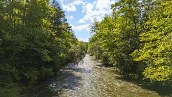 La Wutach renaturée