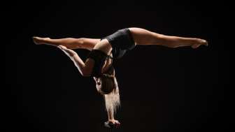 Variété de banlieue Variété de banlieue