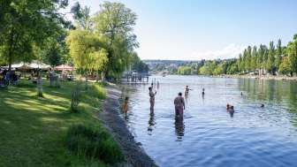 Baignade en rivière à Langwiesen - Complexe de loisirs Rheinwiese