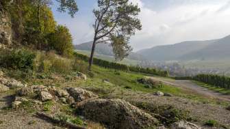 Pierre chaude, Osterfingen Pierre chaude, Osterfingen