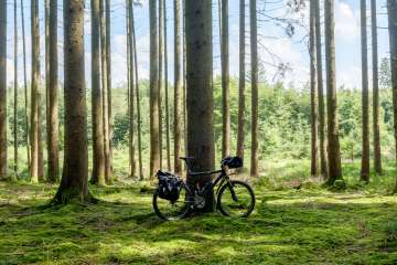 Un vélo est adossé à un arbre. Le vélo est chargé de diverses sacoches.
