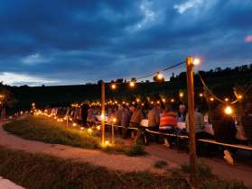 Des personnes sont assises à une longue table dans les vignes. Il fait sombre et des guirlandes lumineuses créent une ambiance chaleureuse.