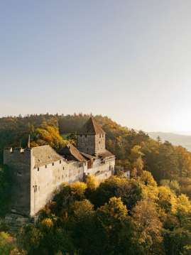 Blick auf die Burg Hohenklingen in Stein am Rhein. Sie ist umgeben von herbstlichem Wald.