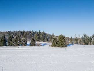 Il y a de la neige sur une grande surface. Des pistes de ski de fond ont été aménagées et trois skieurs de fond les empruntent.