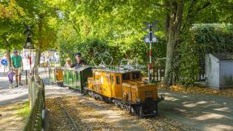 Liliputbahn Stein am Rhein Un petit train miniature avec une locomotive orange traverse un parc avec un conducteur et un enfant comme passager.