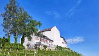 Château de Schwandegg