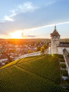 Munot et vieille ville de Schaffhouse Vue sur la forteresse ronde du Munot avec des vignes. Derrière, on voit la vieille ville de Schaffhouse. Derrière la colline, le soleil se couche.
