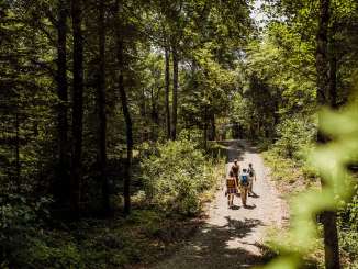 Quatre randonneurs marchent sur un sentier naturel à travers la forêt près de Siblingen.