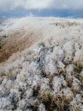 Une tour d'observation émerge de la forêt légèrement blanche.