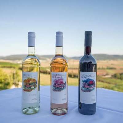 Es stehen drei Weinflaschen von Wilchinger Bergwy auf einem Tisch. Ein Weisswein, ein Rosé und ein Rotwein.