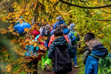 Une classe d'élèves porte des imperméables et des sacs à dos et marche sur un chemin forestier à travers la forêt.