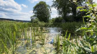 Biotope de Hegi