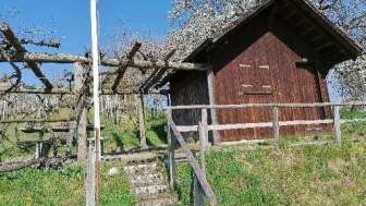 Pique-nique Räbhüüsli