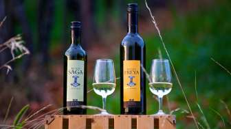 W&W Viticulture Löhningen