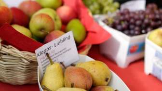 Le paradis des pommes de Hedinger