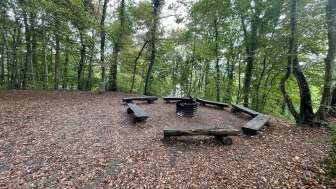 Aire de barbecue Ruine Neuburg