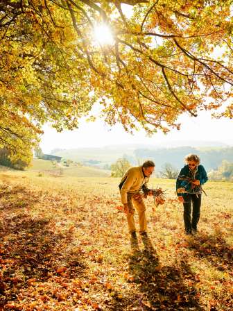 Moments d'automne à Opfertshofen Deux personnes se promènent à la lisière de la forêt et ramassent les feuilles dorées des arbres en automne.