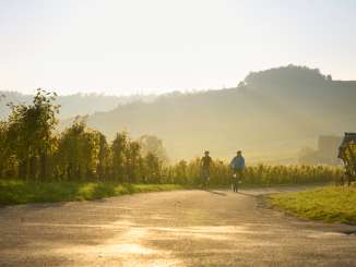 Deux cyclistes traversent les vignes dans la lumière dorée du soir.