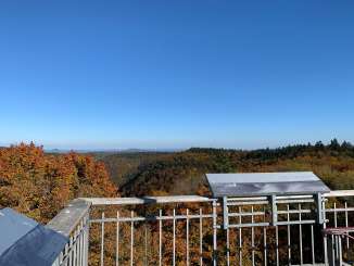 Aussicht auf herbstliche Wälder von der Aussichtplattform des Schleitheimer Randenturms.